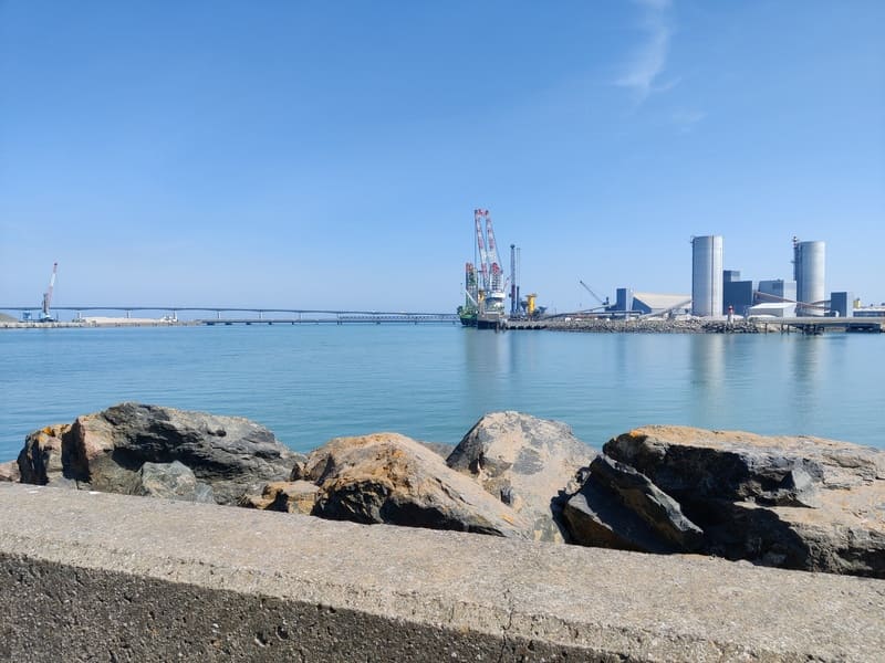 alwenashipping-parl-05